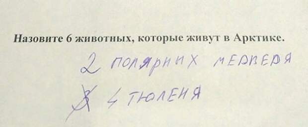 Перлы учеников младших классов прикол, ученики, школа, юмор