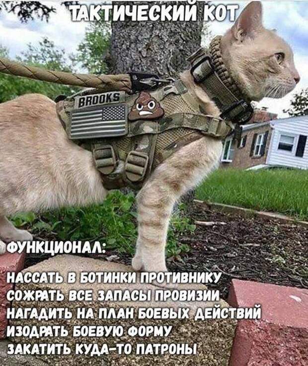 Алкопост Алкопост