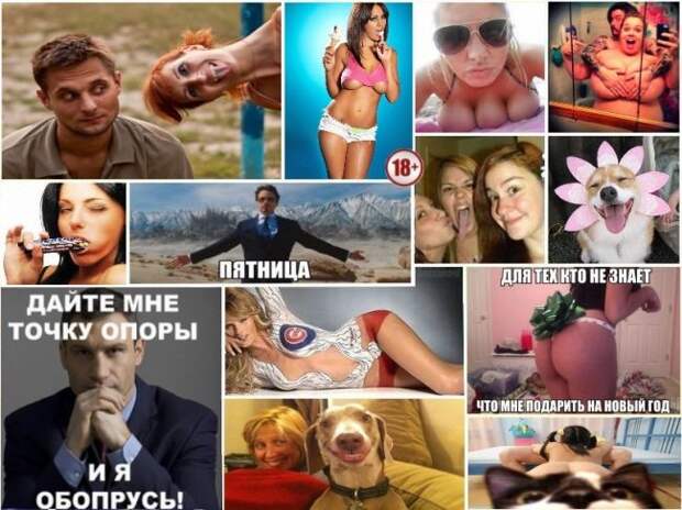 DrunkCow.net - Развлекательно-публицистический сайт приколов юмора и хорошего настроения