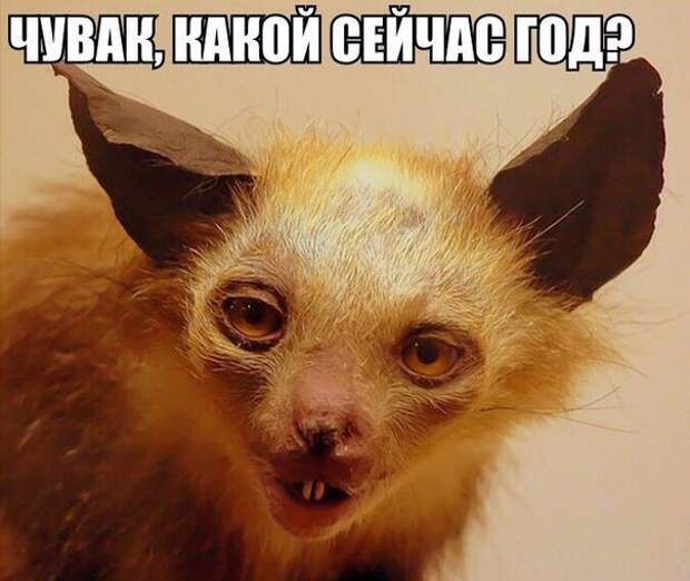 gbyQoyWIuLA