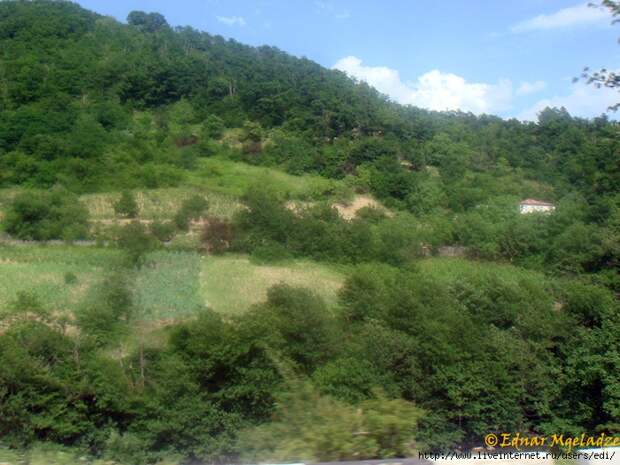 DSC00058 (700x525, 340Kb)