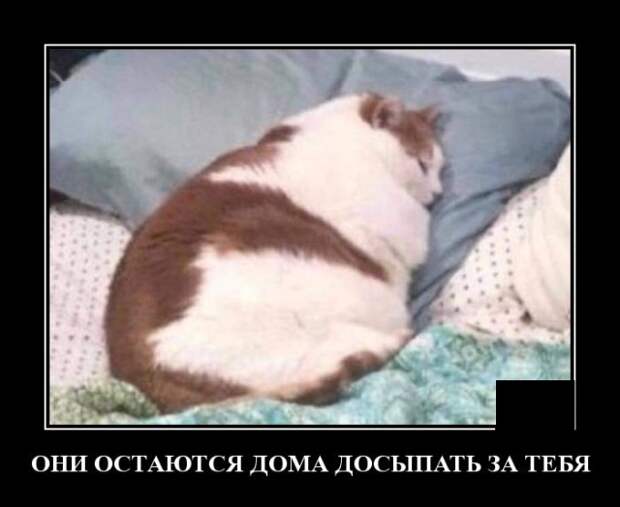 www.vsyako.net