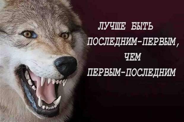 www.vsyako.net