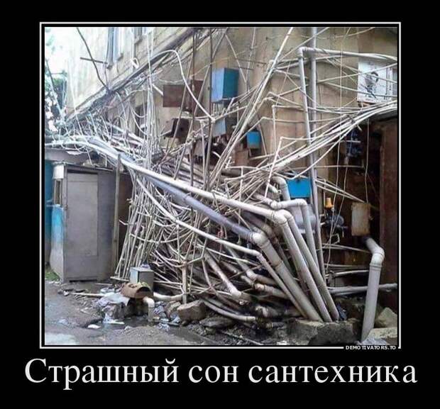 14344555-srat-vse-lyubyat