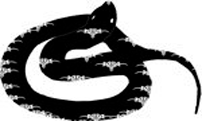 whats-your-sign.com