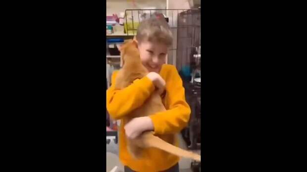 Мальчик пришёл в приют для животных, чтобы выбрать себе питомца, но пушистый сделал выбор за него https://t.me/webmoney_dn/314191Video: Клип