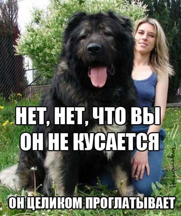 Сборка № 162