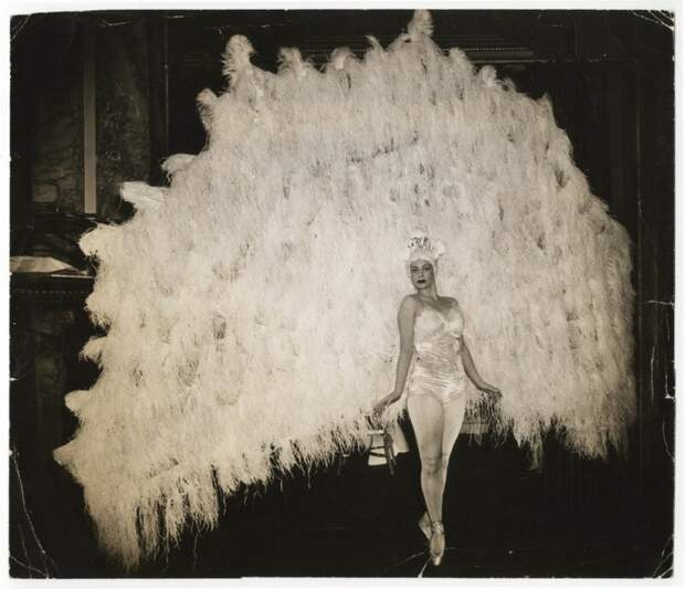 На балу в фешенебельной гостинице «Уолдорф-Астория» балерина Марина Франка в костюме павлина, Манхэттен, Нью-Йорк. история, ретро, фото, это интересно