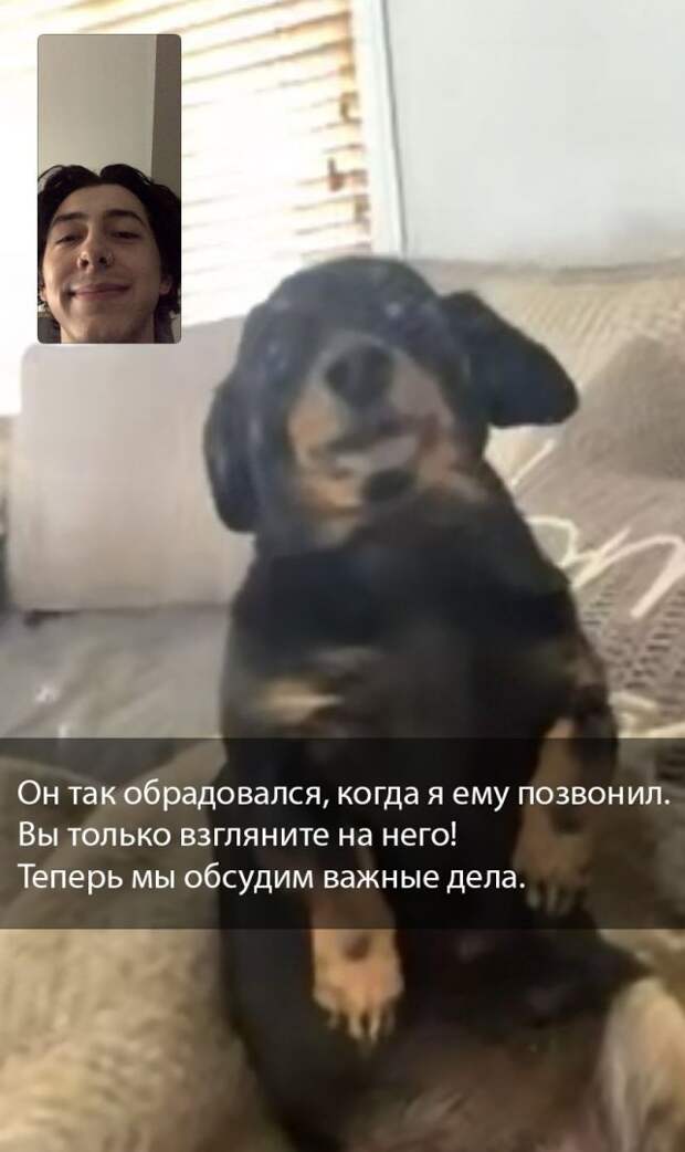 kartinok-interesnyh-prikolnyh-kartinki-smeshnye-kartinki-fotoprikoly