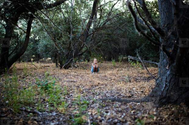 Трехлетняя девочка потерялась в лесу; полицейская операция не принесла результата. Спасителем малышки стал старый полуслепой пес