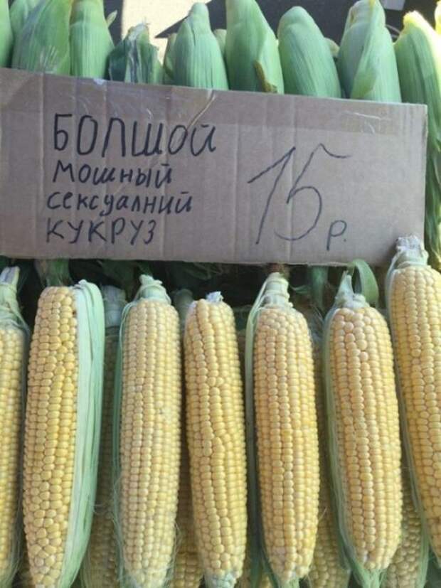 Картинки, юмор, приколы