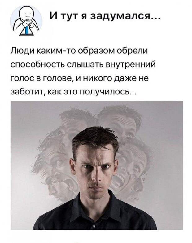 205895_7_trinixy_ru.jpg