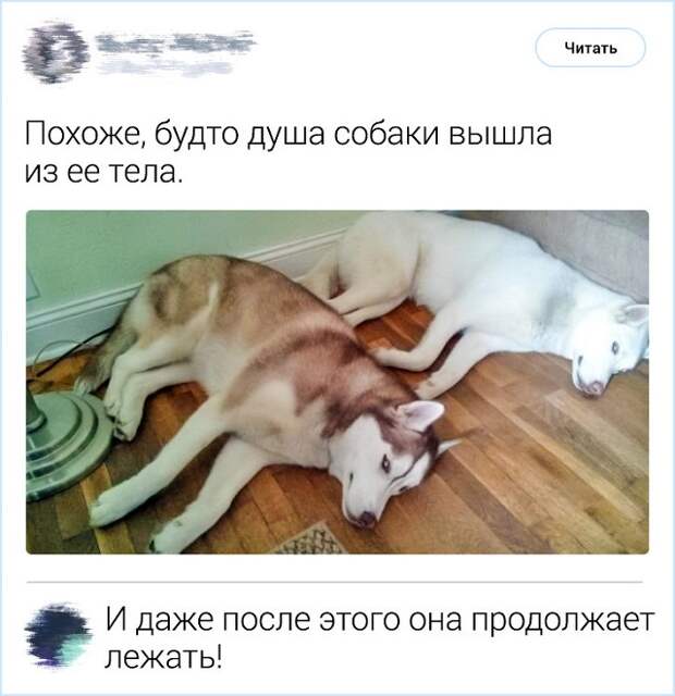 www.vsyako.net
