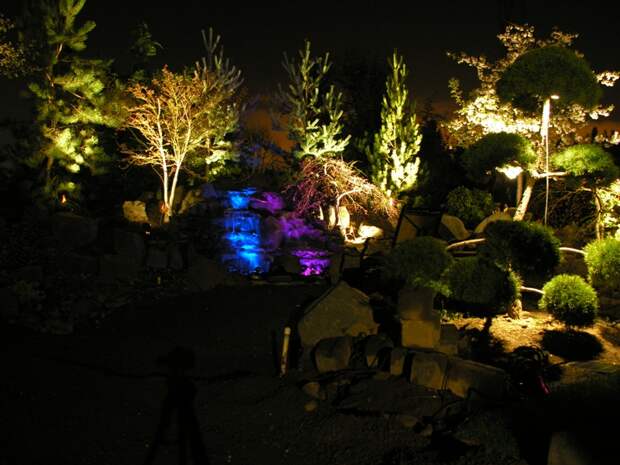 Если небольшие фонарики спрятать в небольших растениях, то по ночам они будут как бы светиться изнутри.