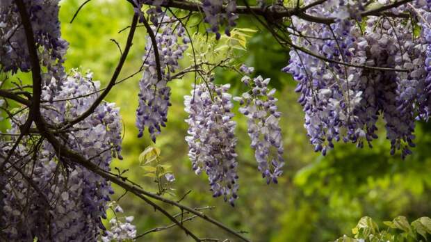 Июльская жара: погода в Крыму на выходных