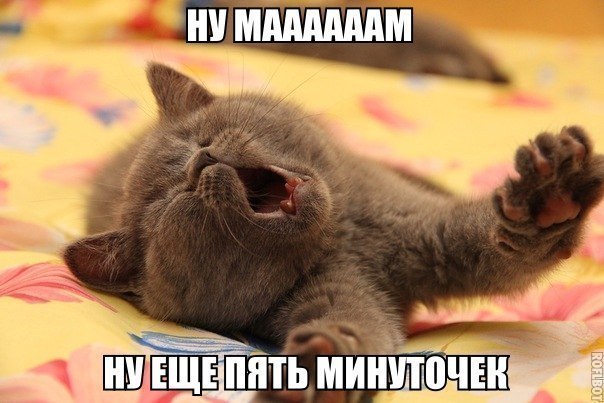 Всяко - разно 11 ))) Всяко - разно 11 )))