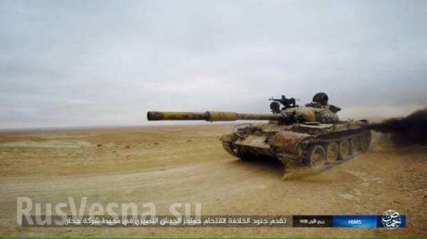Пальмира: ИГИЛ публикует кадры захваченных танков, пленных и зачисток в городе (ФОТО, ВИДЕО) | Русская весна