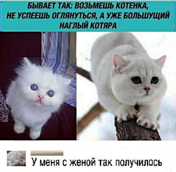 Подборка картинок. Вечерний выпуск (25 фото)
