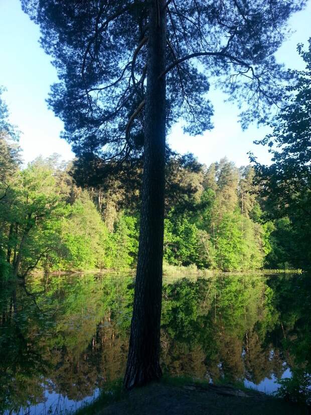 Утро не озере природа, озеро