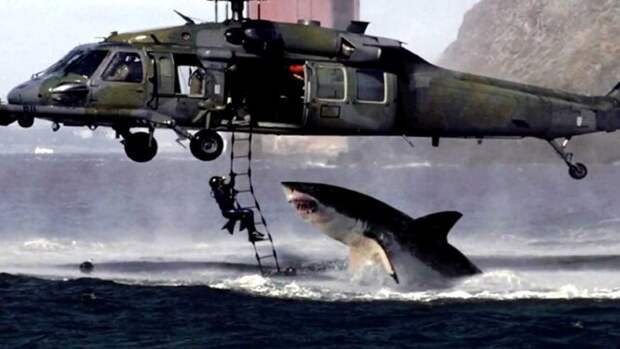 Знаменитая фотография, которая в 2001 году якобы претендовала на «Снимок года» по версии National Geographic. Как выяснилось позже, это коллаж из фотографии вертолёта, сделанной Лансом Чоном, и фотографии акулы, снятой южноафриканцем Лансом Максвеллом. У коллажа есть даже имя собственное – Helicopter Shark, поскольку он стал сетевым мемом.