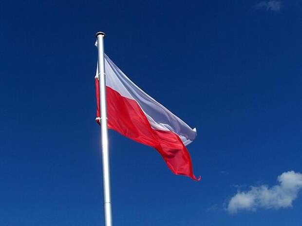 Власти Польши не собираются депортировать украинцев с просроченными документами