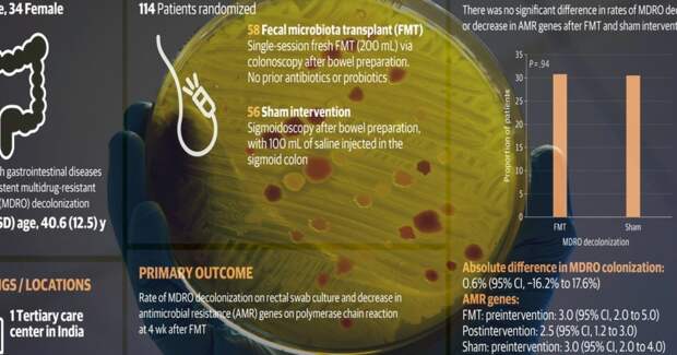 Трансплантация кала не снизила колонизацию антибиотикоустойчивых кишечных бактерий