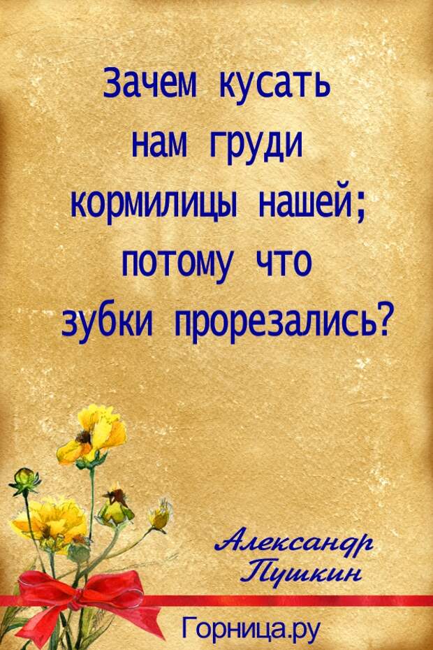 Фразы спасибо. Благодарность цитаты. Высказывания о благодарности. Благодарность мудрость. Афоризмы про благодарность.