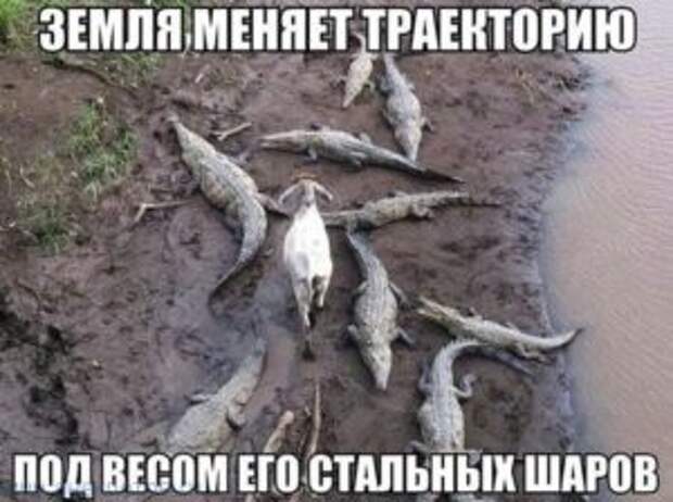 Убойные фотоприколы с надписями
