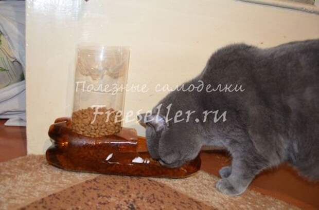 Кормушка для кота из пластиковой бутылки