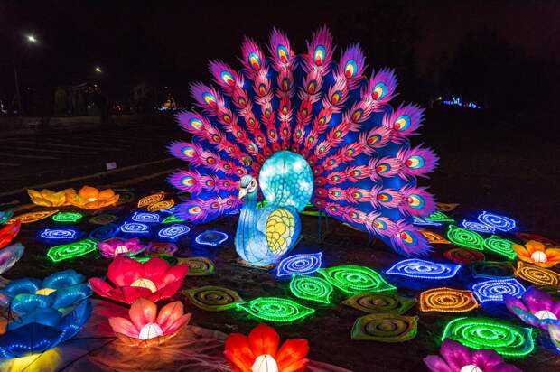 Фото: Пресс-служба