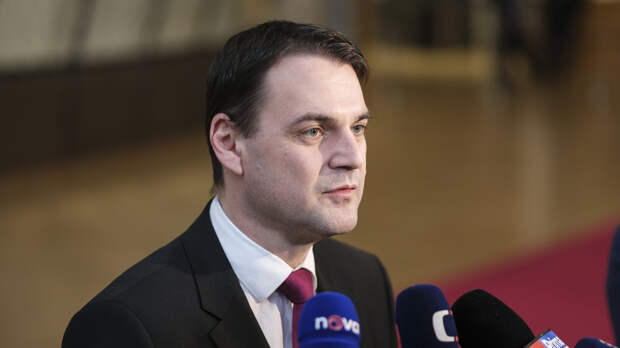 Глава МИД Чехии заявил, что будет игнорировать администрацию президента