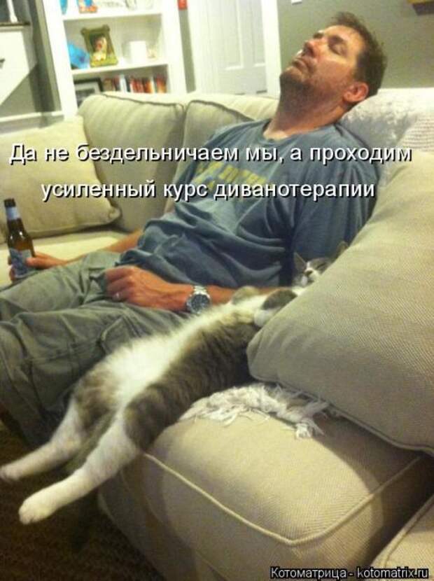 Лучшие котоматрицы недели (50 фото)