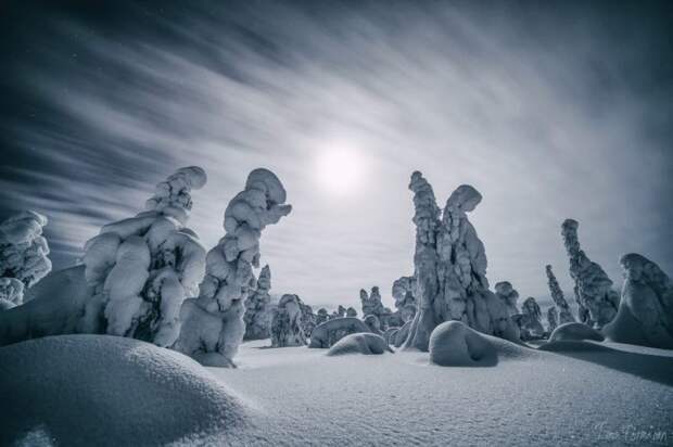Снежные статуи замерли под белоснежными шапками.