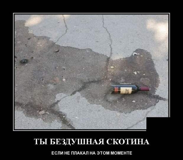 demotivatory-demotivator-smeshnye-demotivatory-demotivator-so-smyslom