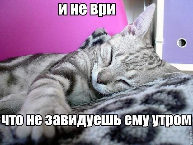 Всяко - разно 49 ))) Всяко - разно 49 )))