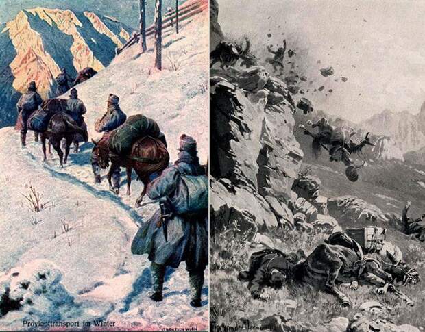 Галерея животных, втянутых людьми в мировую бойню Галерея животных, втянутых людьми в мировую бойню факты, мировая война, животные