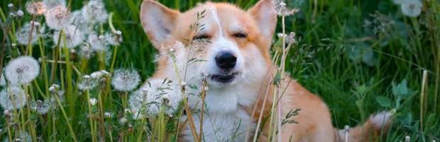 Сколько дней отдохнут казахстанцы в марте 2026 года