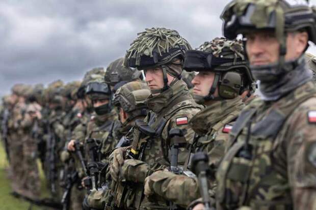 Ввод на Украину польских войск стал почти неизбежным