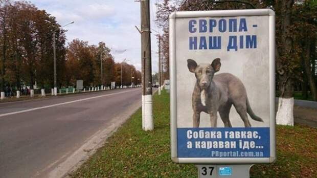 Забавные надписи и объявления Забавные надписи и объявления