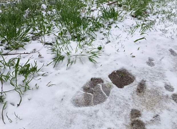 Психолог Гладких объяснила, почему внезапные изменения погоды вызывает тревогу