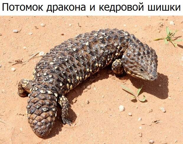 Позитивные картинки с надписями со смыслом (11 фото) Позитивные картинки с надписями со смыслом (11 фото)
