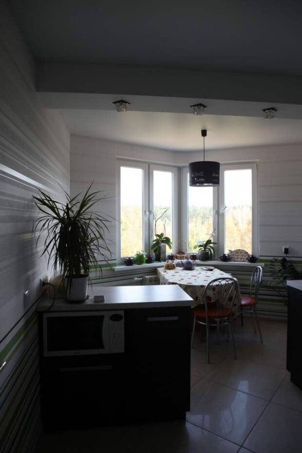 Черно-зеленая кухня 12 кв.м с эркером (9 фото)