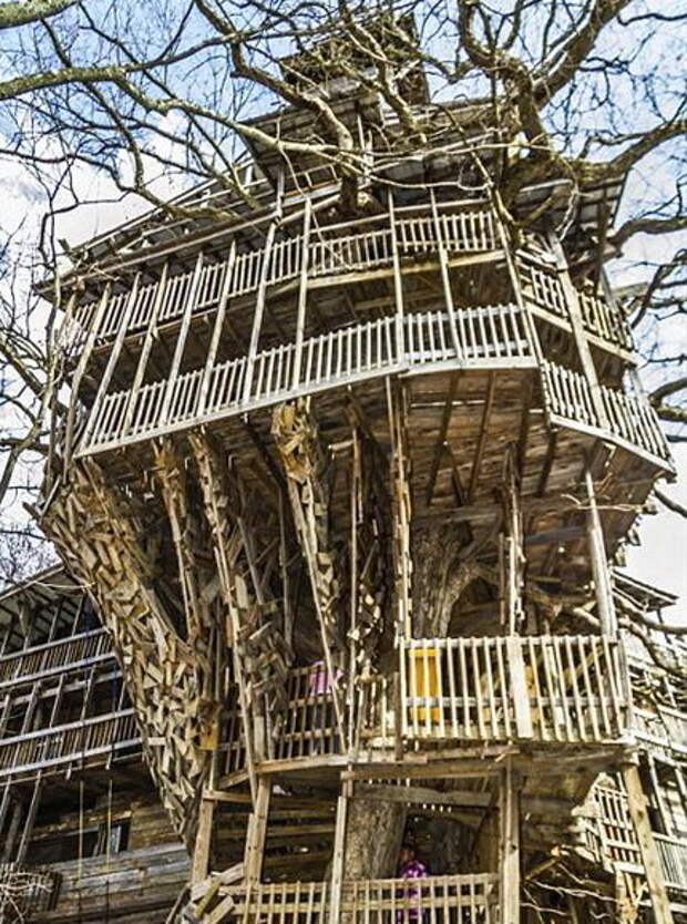 Дом на дереве в москве