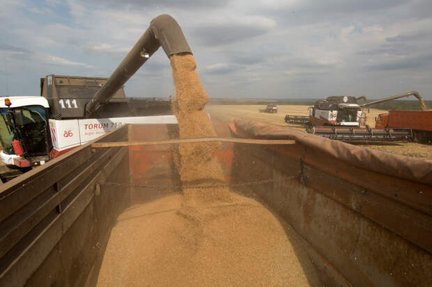 Россия удержала лидерство по экспорту одного товара