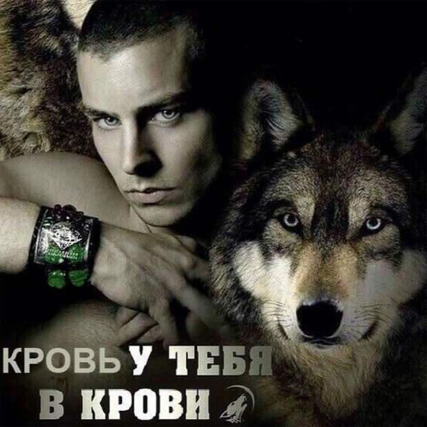 www.vsyako.net