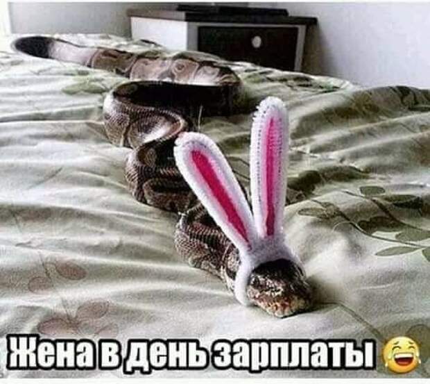 Прикольные и смешные картинки Прикольные и смешные картинки