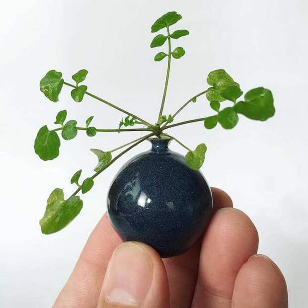 Contemporary Ceramic Artists Ceramic Artist