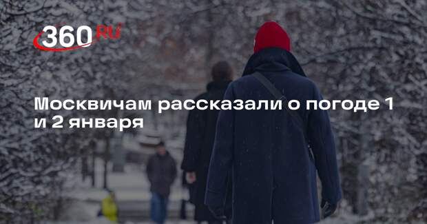 Синоптик Леус: снегопад в Москве ненадолго прекратится 1 января