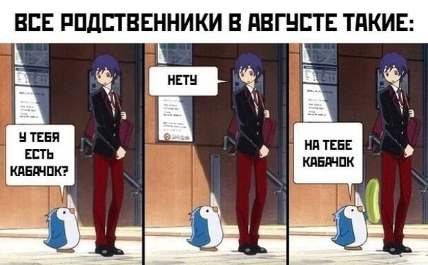 15 шуток о кабачках и их владельцах 15 шуток о кабачках и их владельцах
