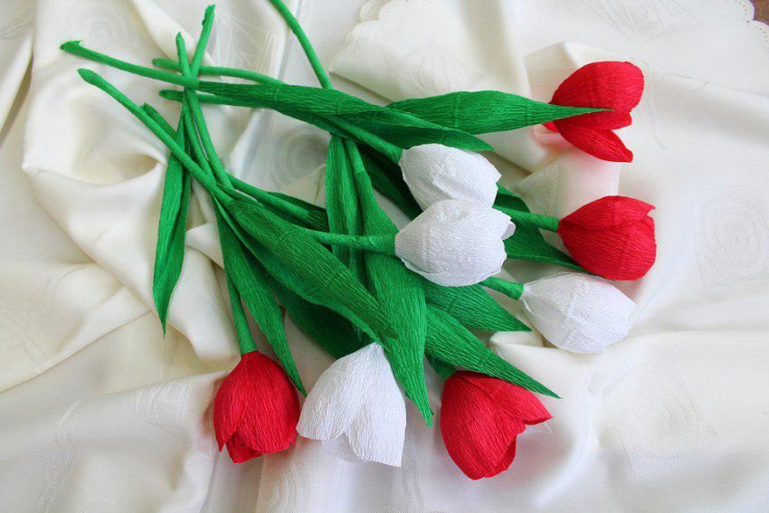 Цветы/ Фото pixabay.com
